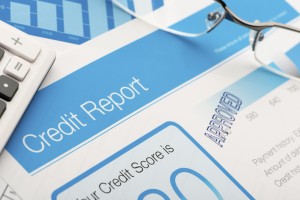 Employment Credit Report