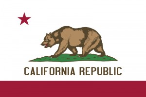 background checks california