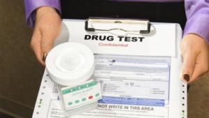 dot drug testing rules